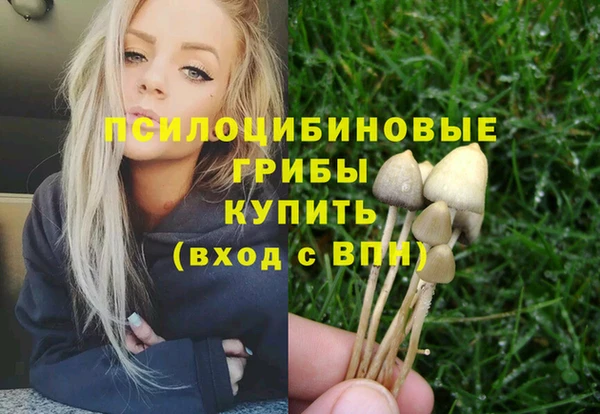 мет Каменка