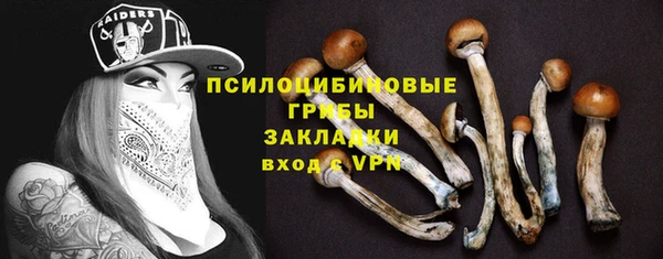 мет Каменка